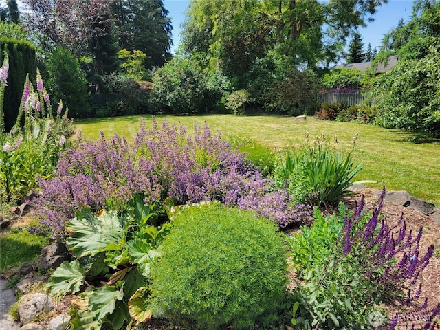 515 N 122nd St, Seattle, WA 98133 - view of yard