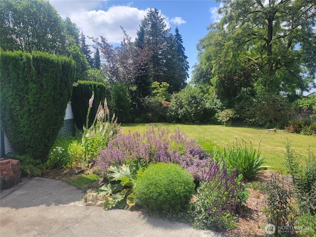 515 N 122nd St, Seattle, WA 98133 - view of green lawn