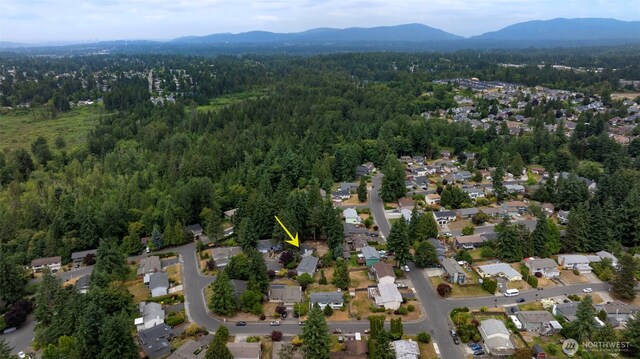 12816 SE 185th Pl, Renton, WA 98058 - aerial overview of property's location with mountains and nearby suburban area