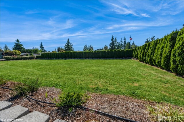 18501 52nd Ave W Unit 31, Lynnwood, WA 98037 - view of yard