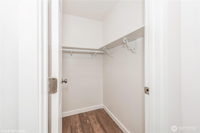 18501 52nd Ave W Unit 31, Lynnwood, WA 98037 - walk in closet with dark wood finished floors