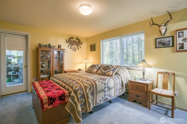 199 Ocean Blvd, Ocean Shores, WA 98569 - bedroom featuring carpet floors and access to exterior