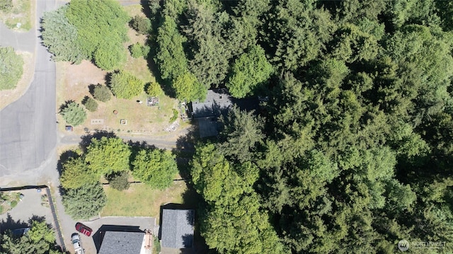 199 Ocean Blvd, Ocean Shores, WA 98569 - aerial overview of property's location