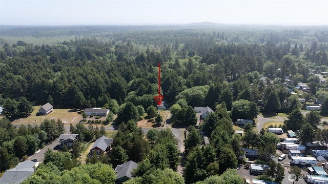 199 Ocean Blvd, Ocean Shores, WA 98569 - bird's eye view of a forest