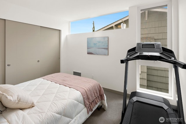 3415D Beacon Ave S, Seattle, WA 98144 - bedroom with carpet floors and a closet