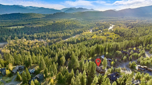 170 Rinky Dink Ln, Cle Elum, WA 98922 - photo 37