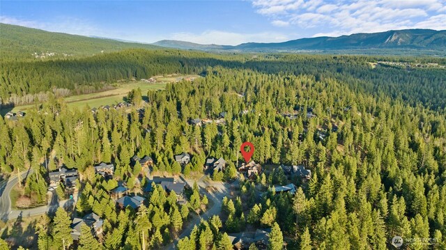 170 Rinky Dink Ln, Cle Elum, WA 98922 - photo 38