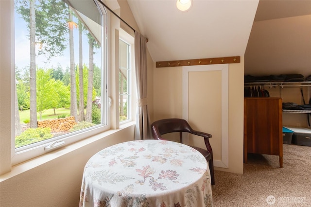 125 Gleason Rd, Centralia, WA 98531 - photo 22