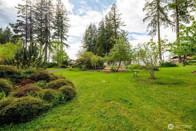 125 Gleason Rd, Centralia, WA 98531 - photo 35