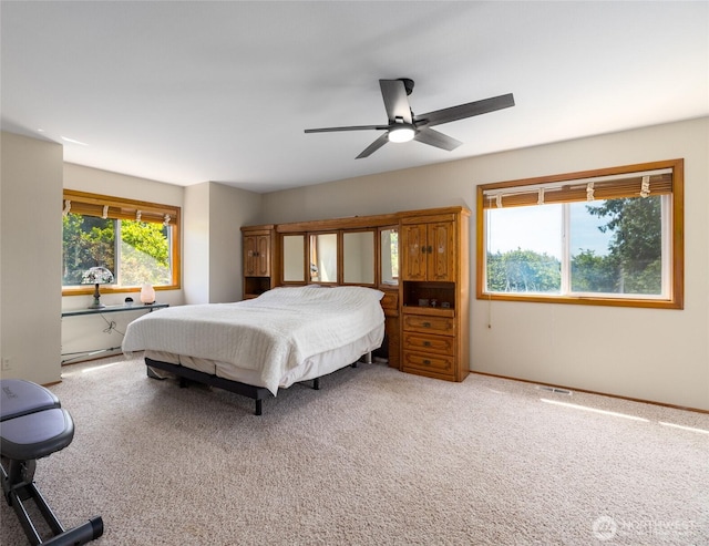 5649 Park Ridge Pl, Sedro Woolley, WA 98284 - photo 16