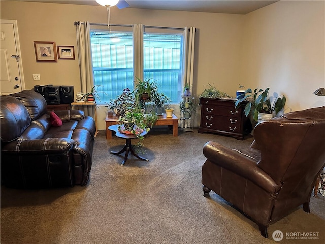 778 Elma Mccleary Rd Unit 20, Mccleary, WA 98557 - view of carpeted living area