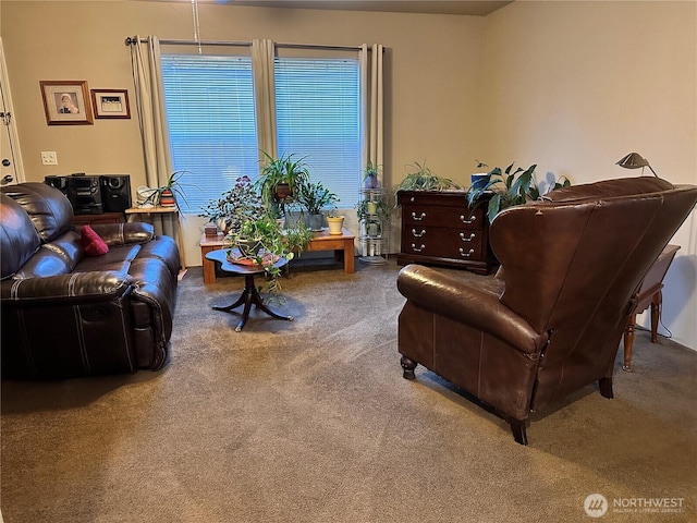 778 Elma Mccleary Rd Unit 20, Mccleary, WA 98557 - living room featuring carpet flooring