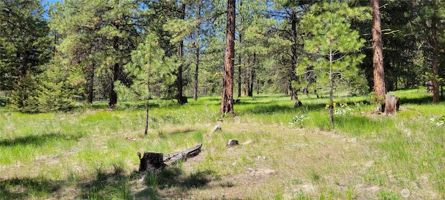 374 Bench Creek Rd, Tonasket, WA 98855
