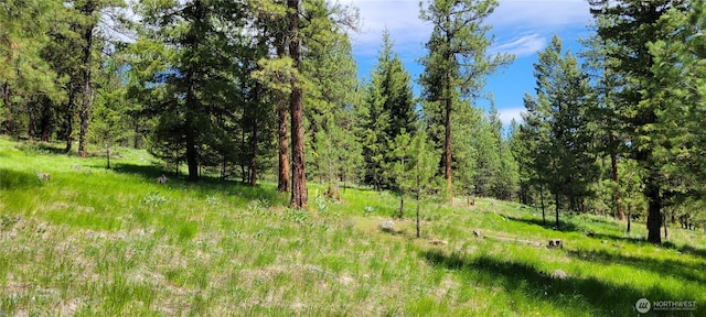 374 Bench Creek Rd, Tonasket, WA 98855