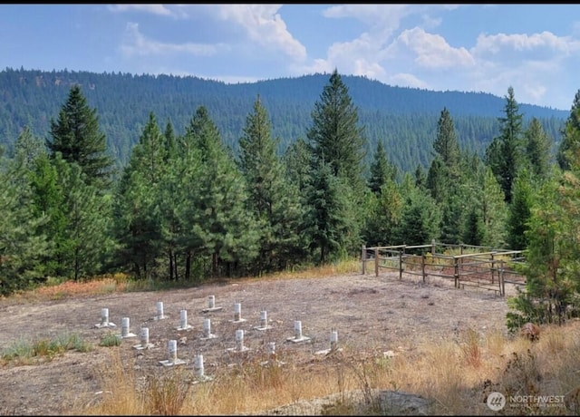 374 Bench Creek Rd, Tonasket, WA 98855