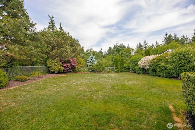 5908 3rd Dr W, Everett, WA 98203 - view of yard