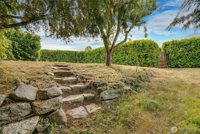 2602 Mccarver St, Tacoma, WA 98403 - view of yard