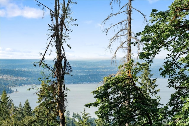 17750 SE 63rd Pl, Bellevue, WA 98006 - water view featuring a forest