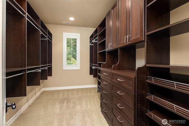 67 Cascade Ky, Bellevue, WA 98006 - walk in closet with light colored carpet