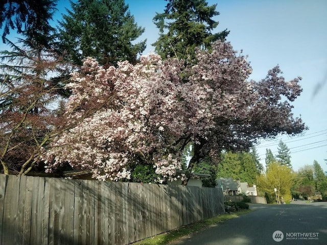 8305 134th Ave NE, Redmond, WA 98052 - photo 3