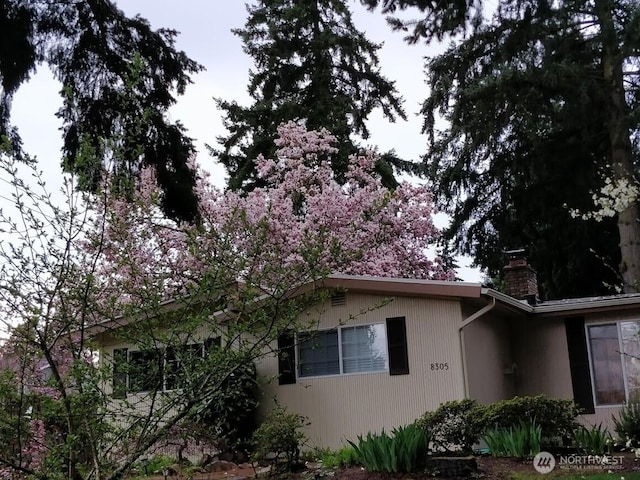 8305 134th Ave NE, Redmond, WA 98052 - photo 6