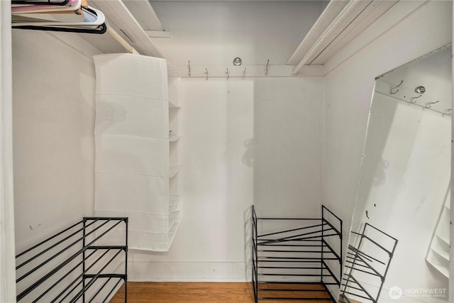 4228 1st Ave NE, Seattle, WA 98105 - walk in closet with wood finished floors