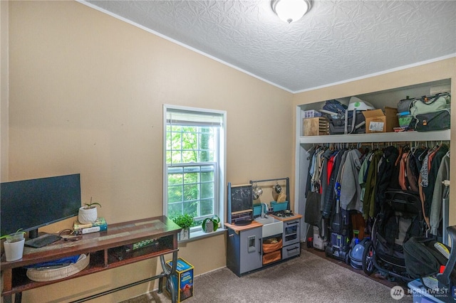 492 Hilltop Dr, Sedro Woolley, WA 98284 - home office featuring ornamental molding, carpet floors, and vaulted ceiling