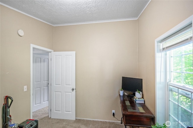492 Hilltop Dr, Sedro Woolley, WA 98284 - home office featuring carpet, ornamental molding, and a textured ceiling