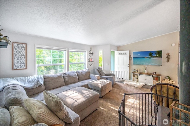 492 Hilltop Dr, Sedro Woolley, WA 98284 - carpeted living room with a textured ceiling