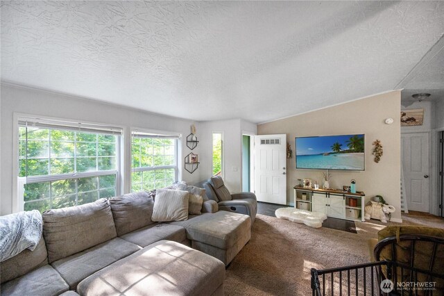 492 Hilltop Dr, Sedro Woolley, WA 98284 - living room with healthy amount of natural light, a textured ceiling, and carpet