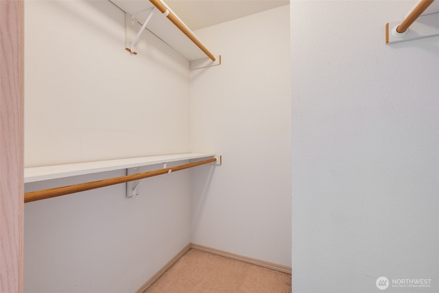 1160 Monroe Ave NE Unit B-4, Renton, WA 98056 - walk in closet with light carpet