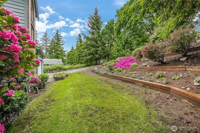 1117 W Racine St, Bellingham, WA 98229 - view of grassy yard