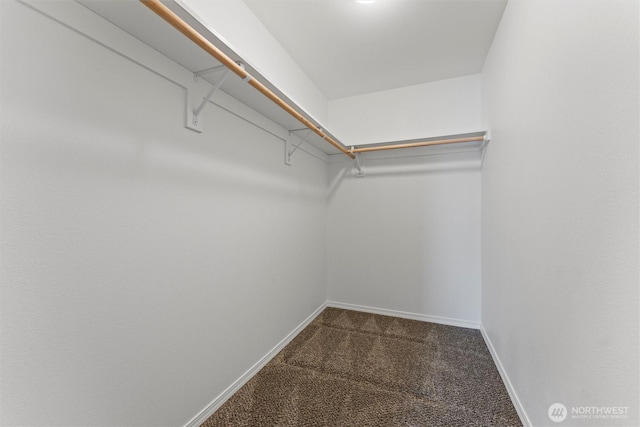 1325 W Polo Ridge Dr, Moses Lake, WA 98837 - spacious closet with dark carpet