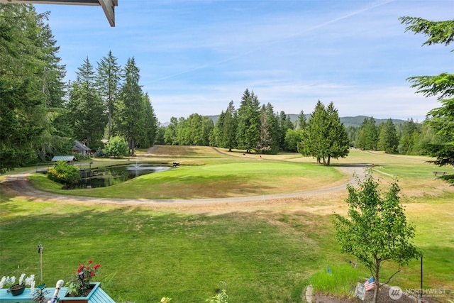 460 N Fairway Dr E, Hoodsport, WA 98548 - photo 19