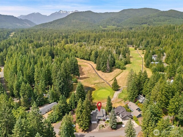 460 N Fairway Dr E, Hoodsport, WA 98548 - photo 3