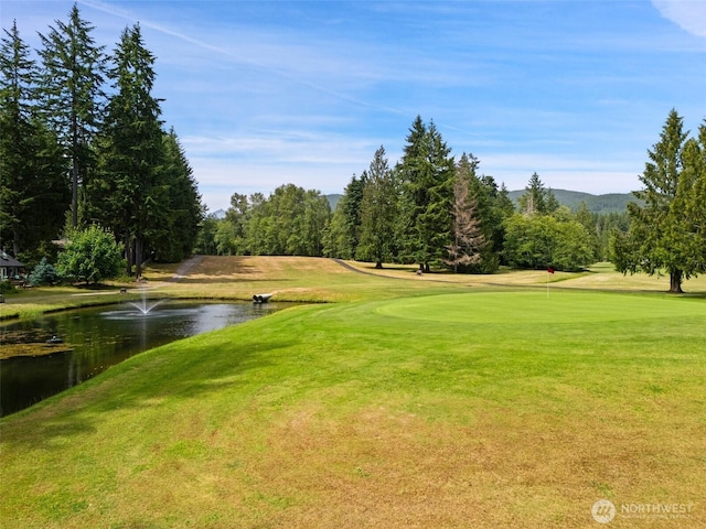 460 N Fairway Dr E, Hoodsport, WA 98548 - photo 30