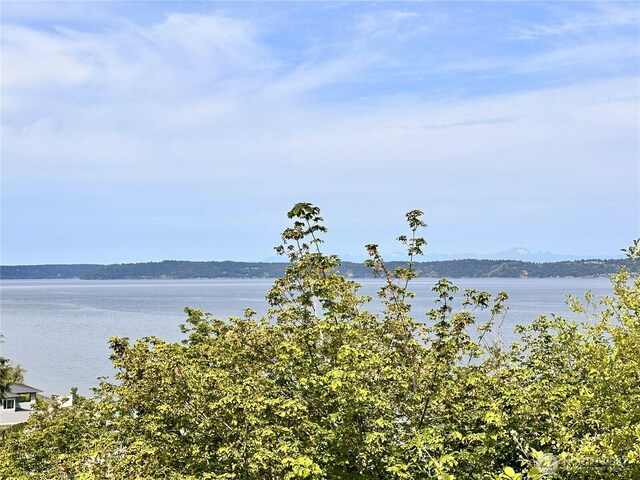 1445 SW 296th St, Federal Way, WA 98023 - water view