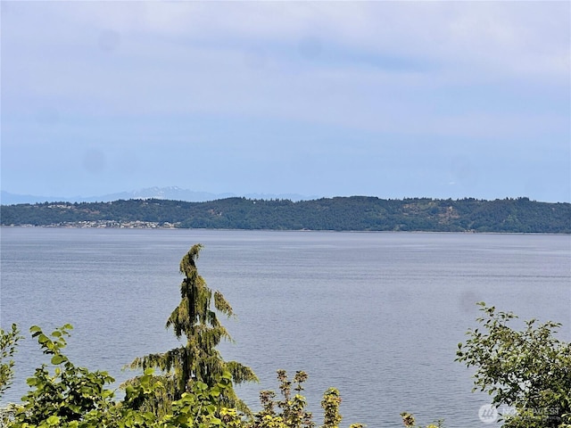 1445 SW 296th St, Federal Way, WA 98023 - water view