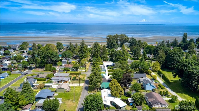 2111 Maple St, Point Roberts, WA 98281 - aerial perspective of suburban area with a large body of water
