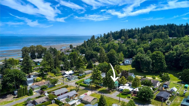 2111 Maple St, Point Roberts, WA 98281 - aerial perspective of suburban area with a large body of water