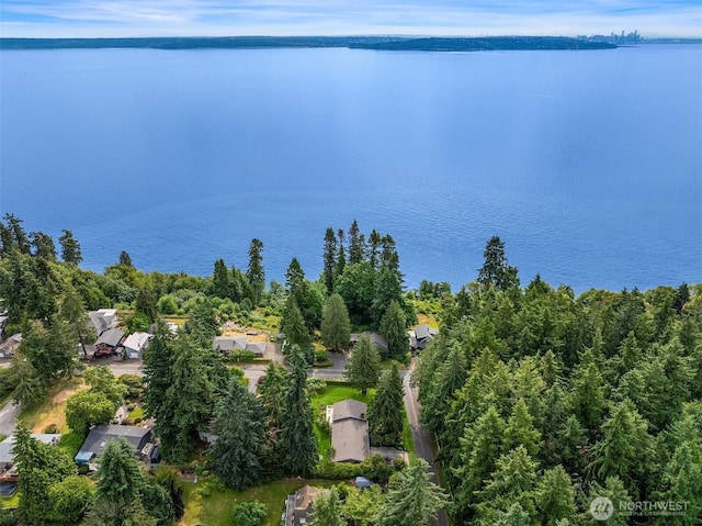 10376 NE Winthers Rd, Bainbridge Island, WA 98110 - bird's eye view of a nearby body of water