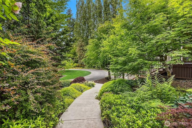 473 Glen Hollow Pl SW, Bainbridge Island, WA 98110 - surrounding community
