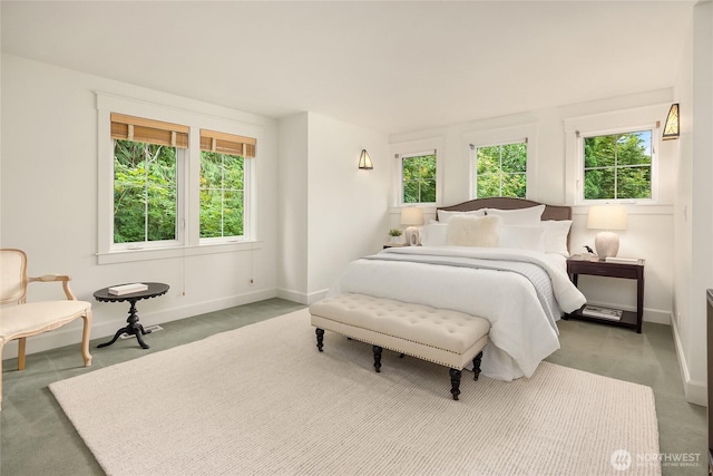 473 Glen Hollow Pl SW, Bainbridge Island, WA 98110 - carpeted bedroom with multiple windows