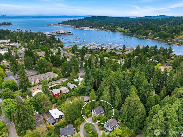 473 Glen Hollow Pl SW, Bainbridge Island, WA 98110 - drone / aerial view of a large body of water