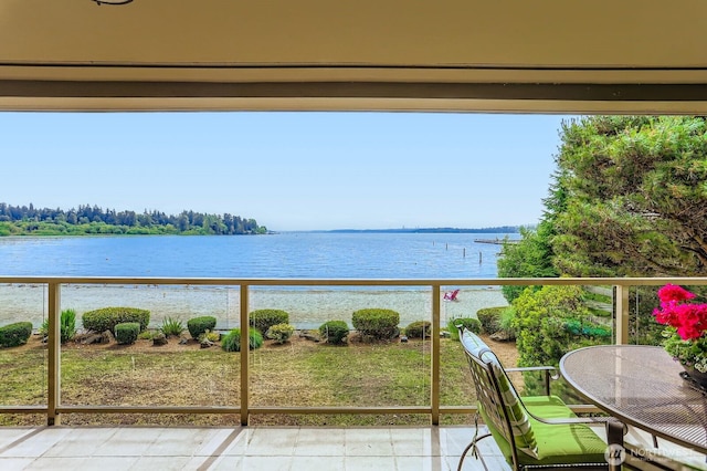 9727 NE Juanita Dr Unit 201, Kirkland, WA 98034 - water view