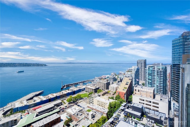 121 Stewart St Unit 2506, Seattle, WA 98101 - photo 12