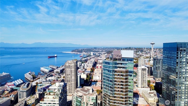 121 Stewart St Unit 2506, Seattle, WA 98101 - photo 31
