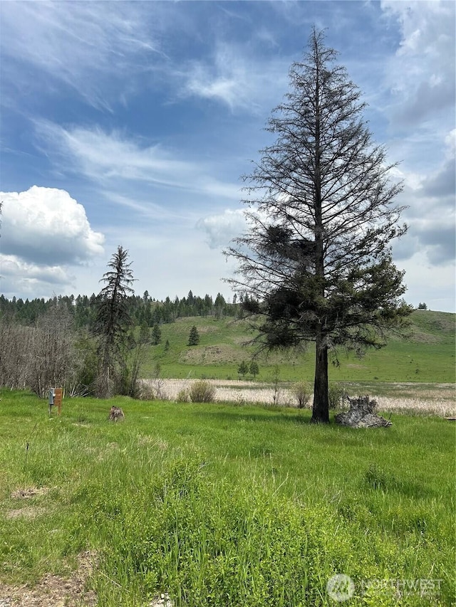 190 Bunch Rd, Wauconda, WA 98859