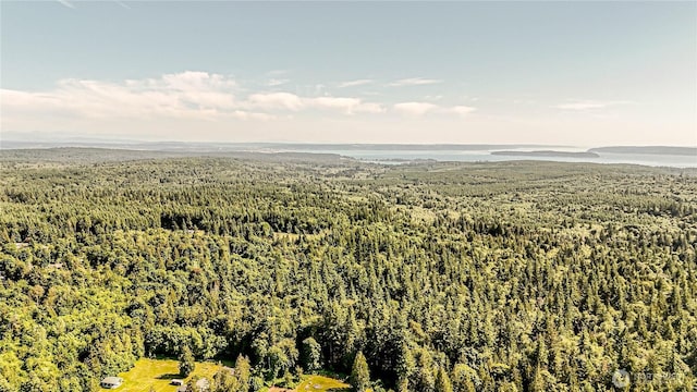 4616 140th St NW, Marysville, WA 98271 - bird's eye view of a forest