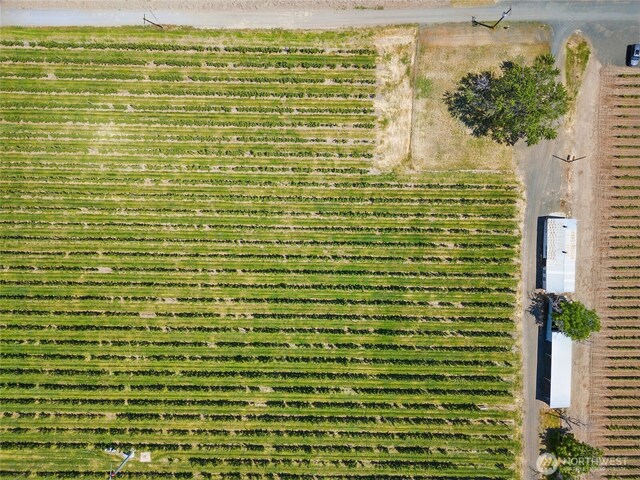 0 Trumbull, Milton-Freewater, OR 97862 - photo 5